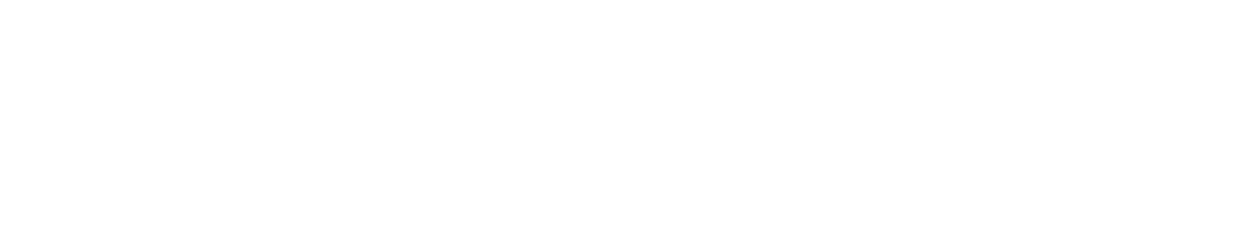 ScanAccount_2001-2021_logo